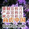 深圳華視光線影視制作公司-供應通訊企業宣傳片拍攝宣傳片制作網頁制作網站推廣品牌策劃